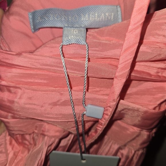 Antonio Melani Pink and Green Maxi Dress - Picture 5 of 6